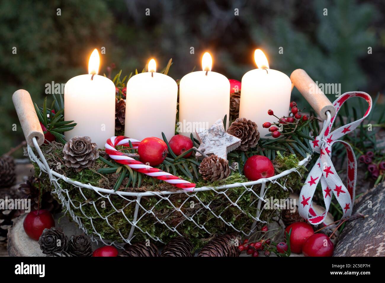 adventsdekoration mit weißen Kerzen und Zapfen im Korb Stockfoto