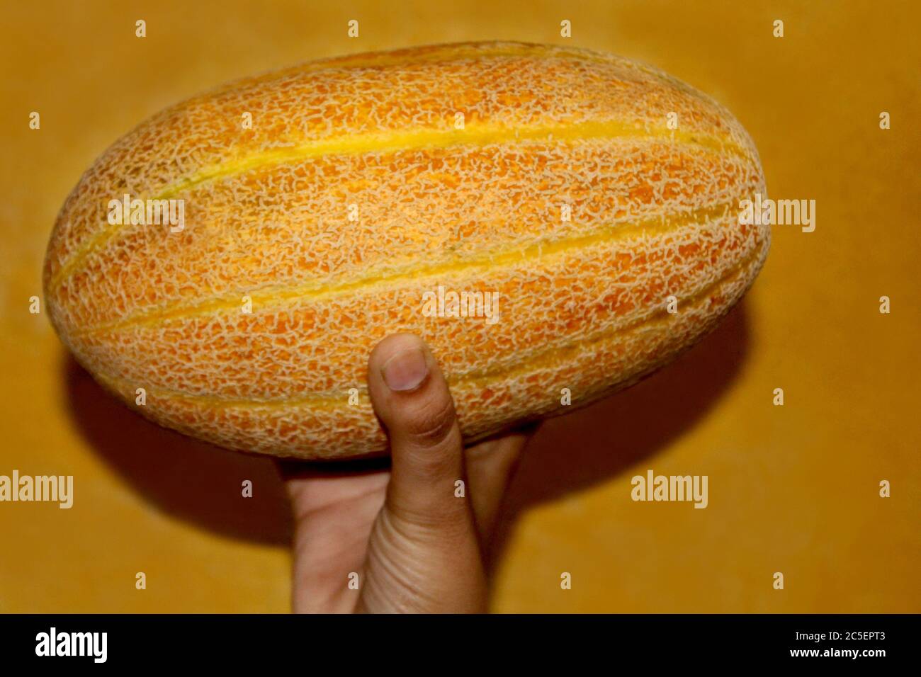 Hand halten Muskmelon Zucker Melone Früchte gesunde Ernährung, ganze und Scheibe von japanischen Melonen. Selektive Fokus mit Unschärfe. Stockfoto