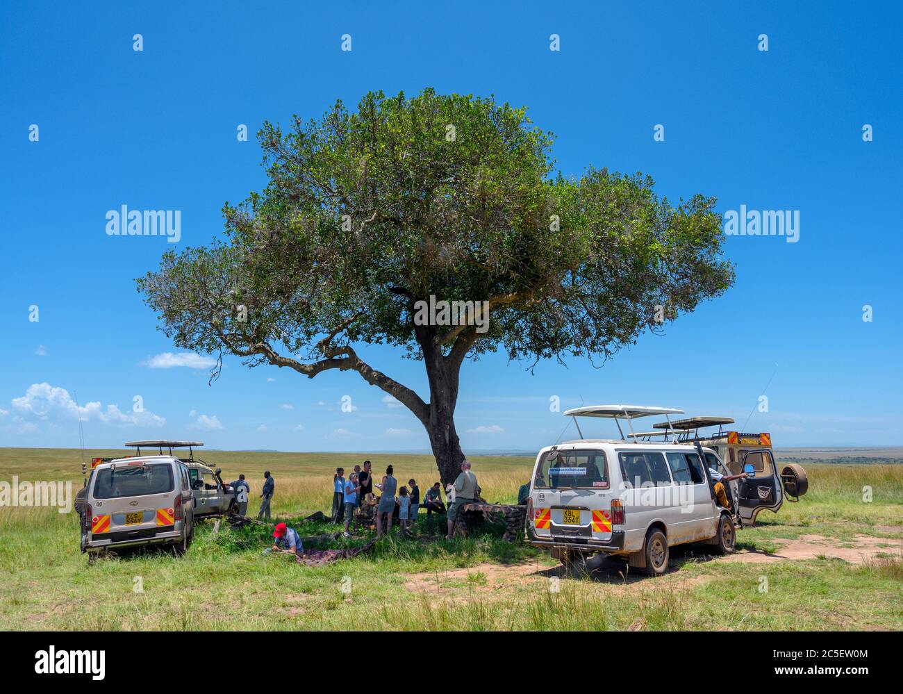 Safarifahrzeuge und Menschen, die ein Picknick-Mittagessen unter einem Baum, Mara Triangle, Masai Mara National Reserve, Kenia, Afrika haben Stockfoto