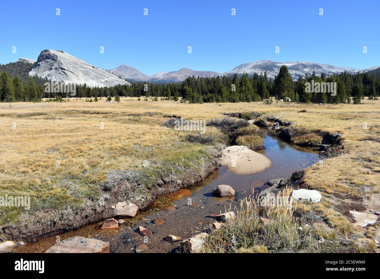 Blick auf die Tuolumne Wiesen im Herbst/Herbst mit Lembert Dome und dem Tuolumne Fluss, umgeben von gelbem Gras. Yosemite National Park, Kalifornien. Stockfoto