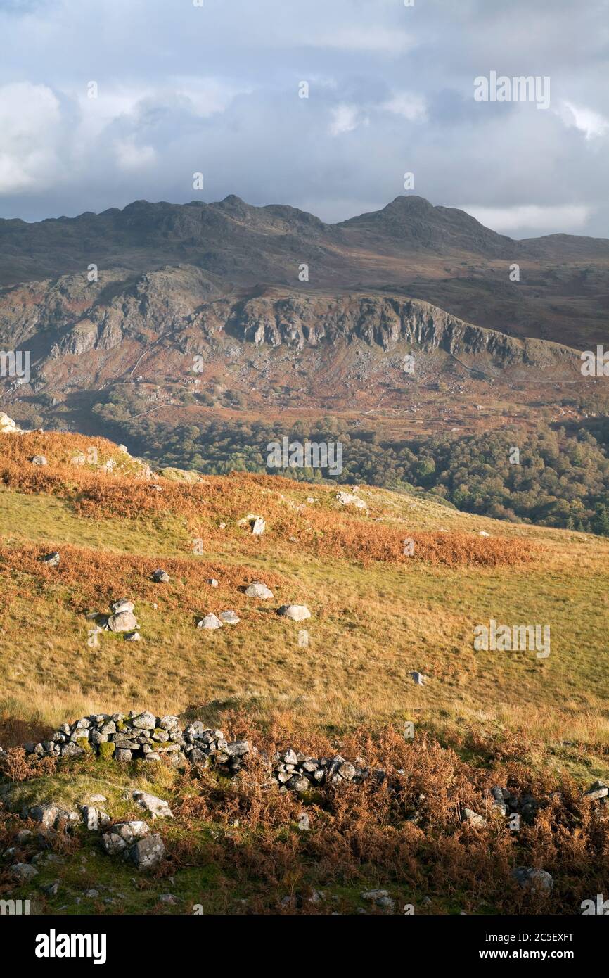 Grünen Felsen oberhalb der Eskdale Valley, Cumbria, Großbritannien Stockfoto