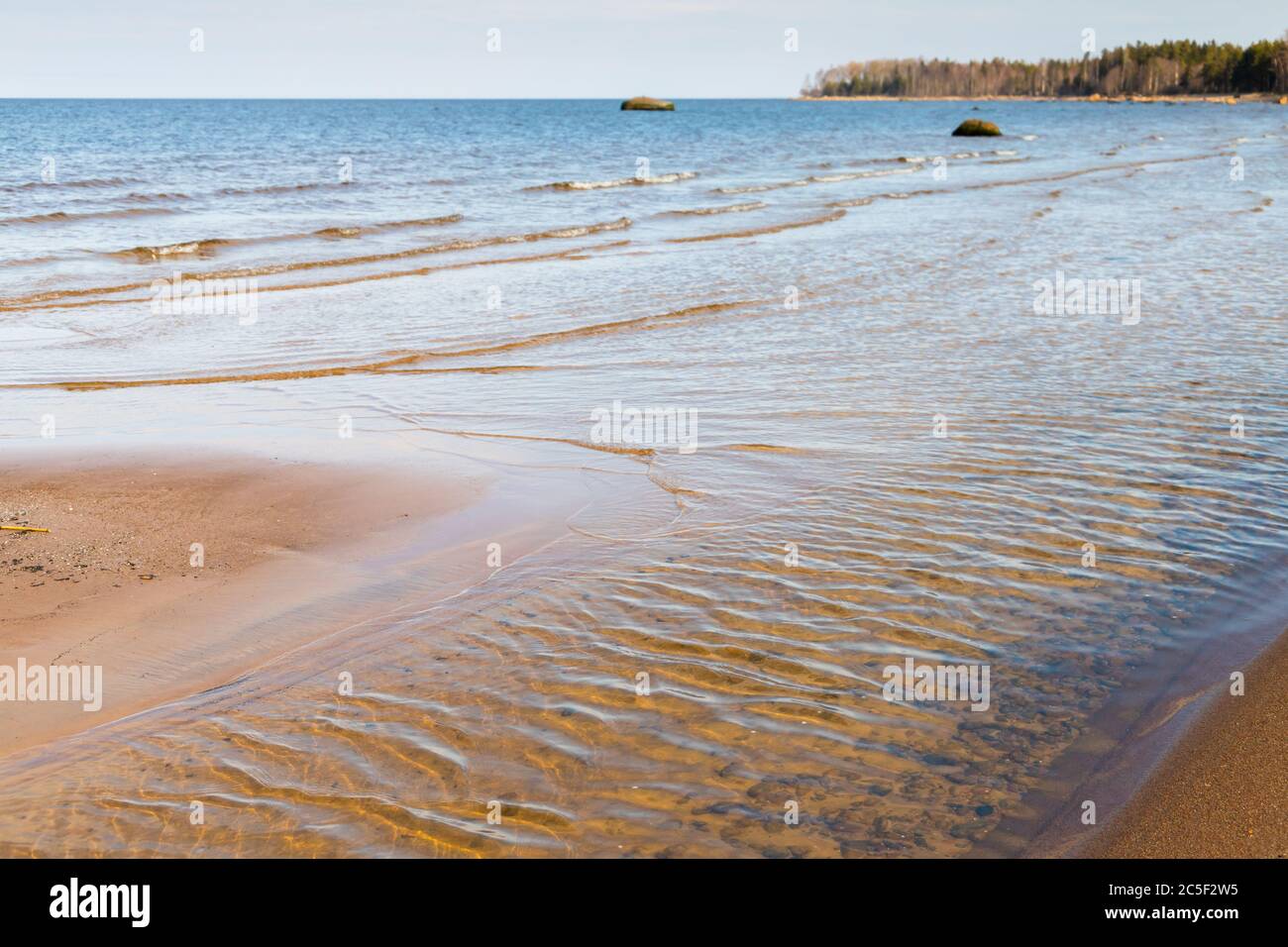 Ostseeküste im Frühling. Naturlandschaft mit Uferwasser und nassem Sand Stockfoto