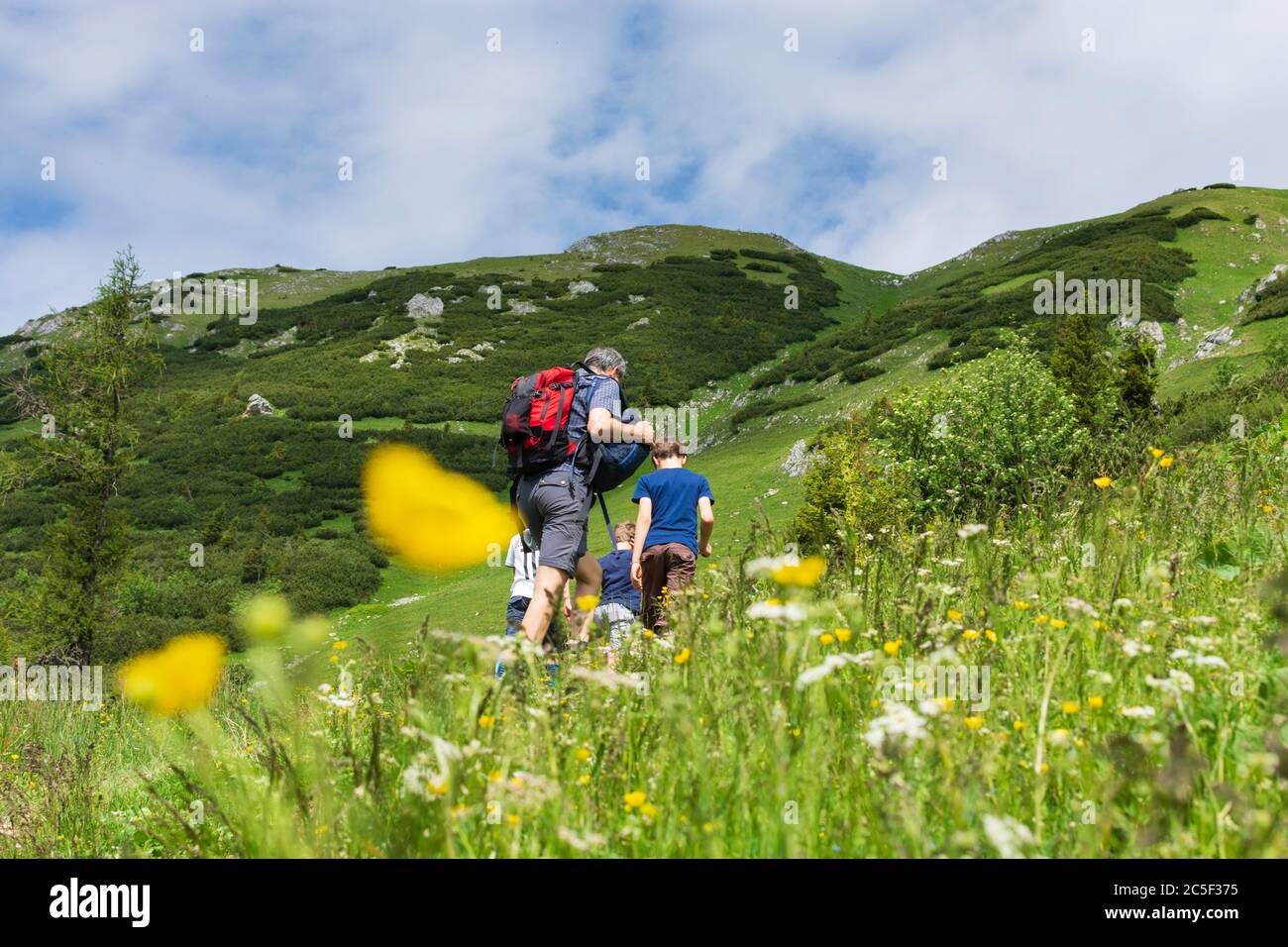 Sankt Barbara im Mürztal: Berg hohe Veitsch (Veitschalpe), Blumen, Wanderer, Bergsteiger in Hochsteiermark, Steiermark, Steiermark, Österreich Stockfoto