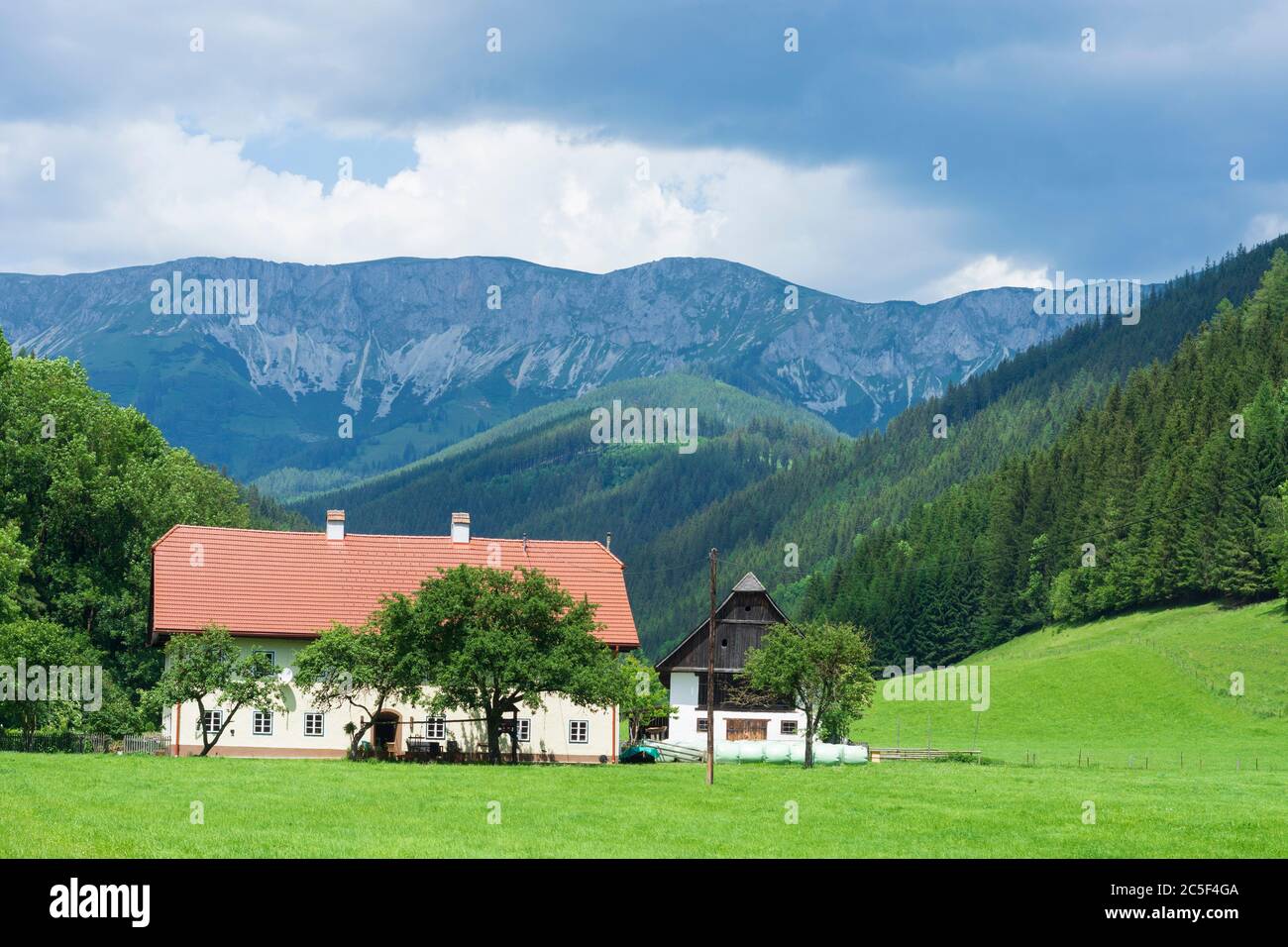 Sankt Barbara im Mürztal: Bauernhof, Berg hohe Veitsch (Veitschalpe) in Hochsteiermark, Steiermark, Österreich Stockfoto