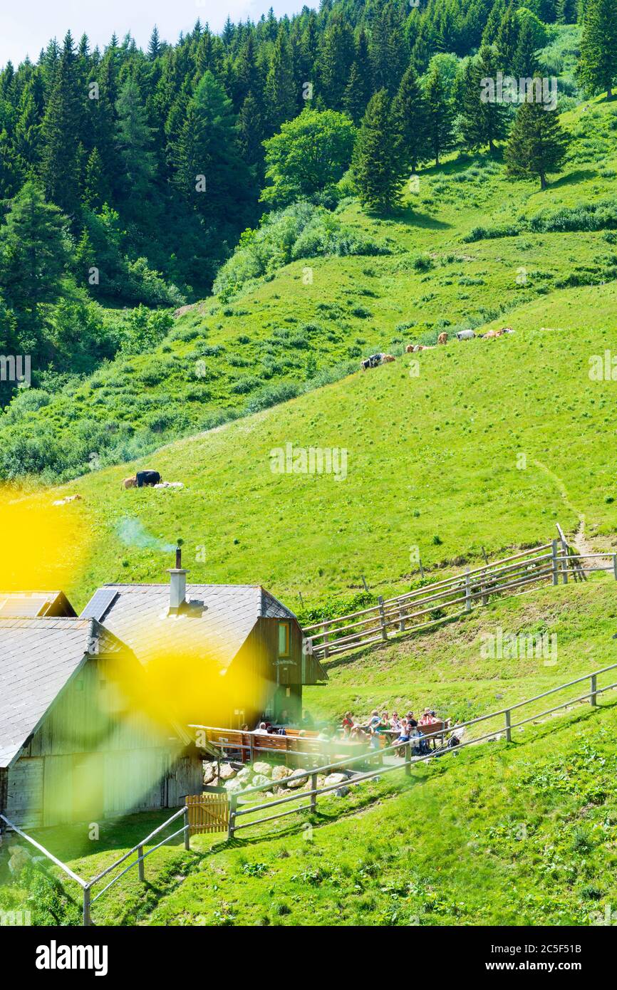 Sankt Barbara im Mürztal: Berg hohe Veitsch (Veitschalpe), Alp Schalleralm in Hochsteiermark, Steiermark, Österreich Stockfoto