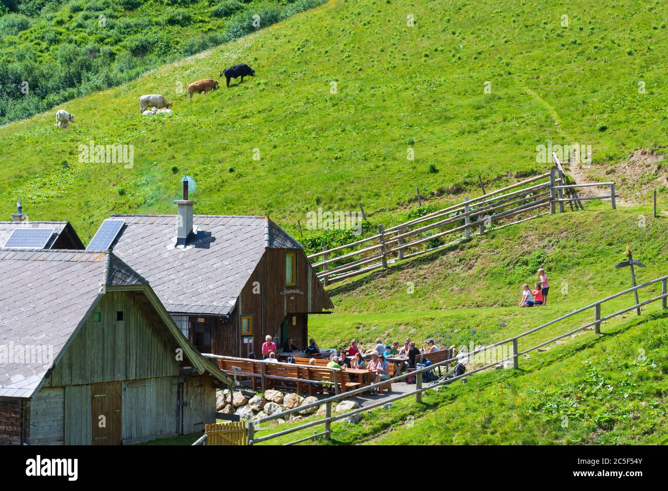 Sankt Barbara im Mürztal: Berg hohe Veitsch (Veitschalpe), Alp Schalleralm in Hochsteiermark, Steiermark, Österreich Stockfoto