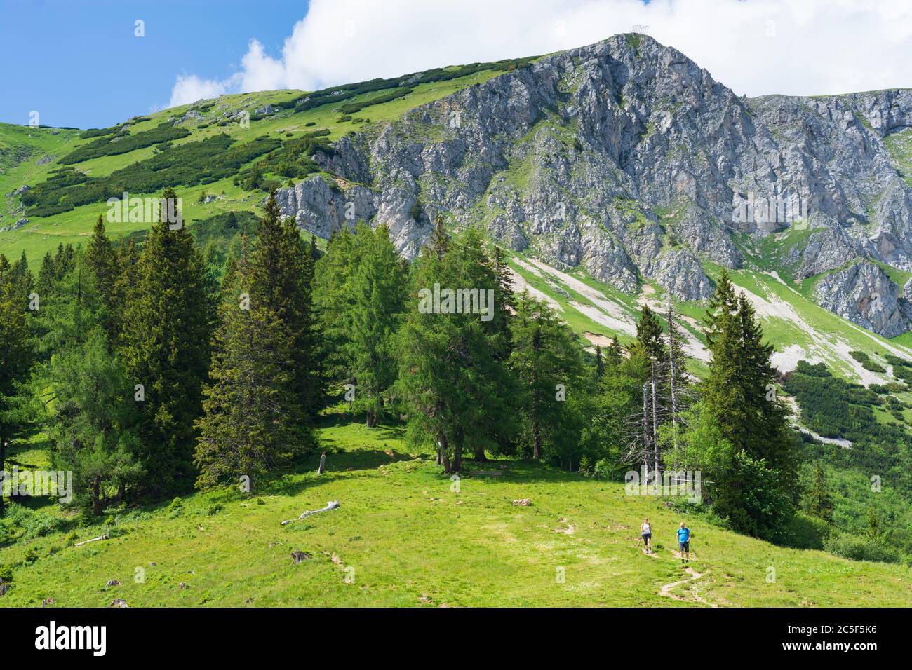 Sankt Barbara im Mürztal: Aufstieg auf den Berg hohe Veitsch (Veitschalpe) in Hochsteiermark, Steiermark, Österreich Stockfoto