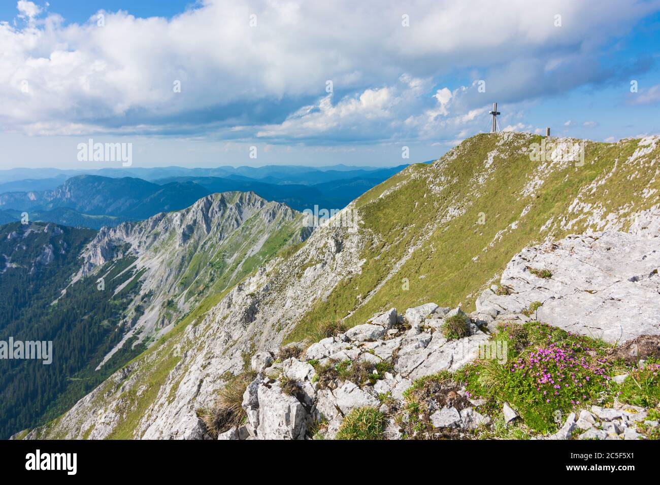 Sankt Barbara im Mürztal: Berg hohe Veitsch (Veitschalpe), Gipfelkreuz, Blumen in Hochsteiermark, Steiermark, Österreich Stockfoto