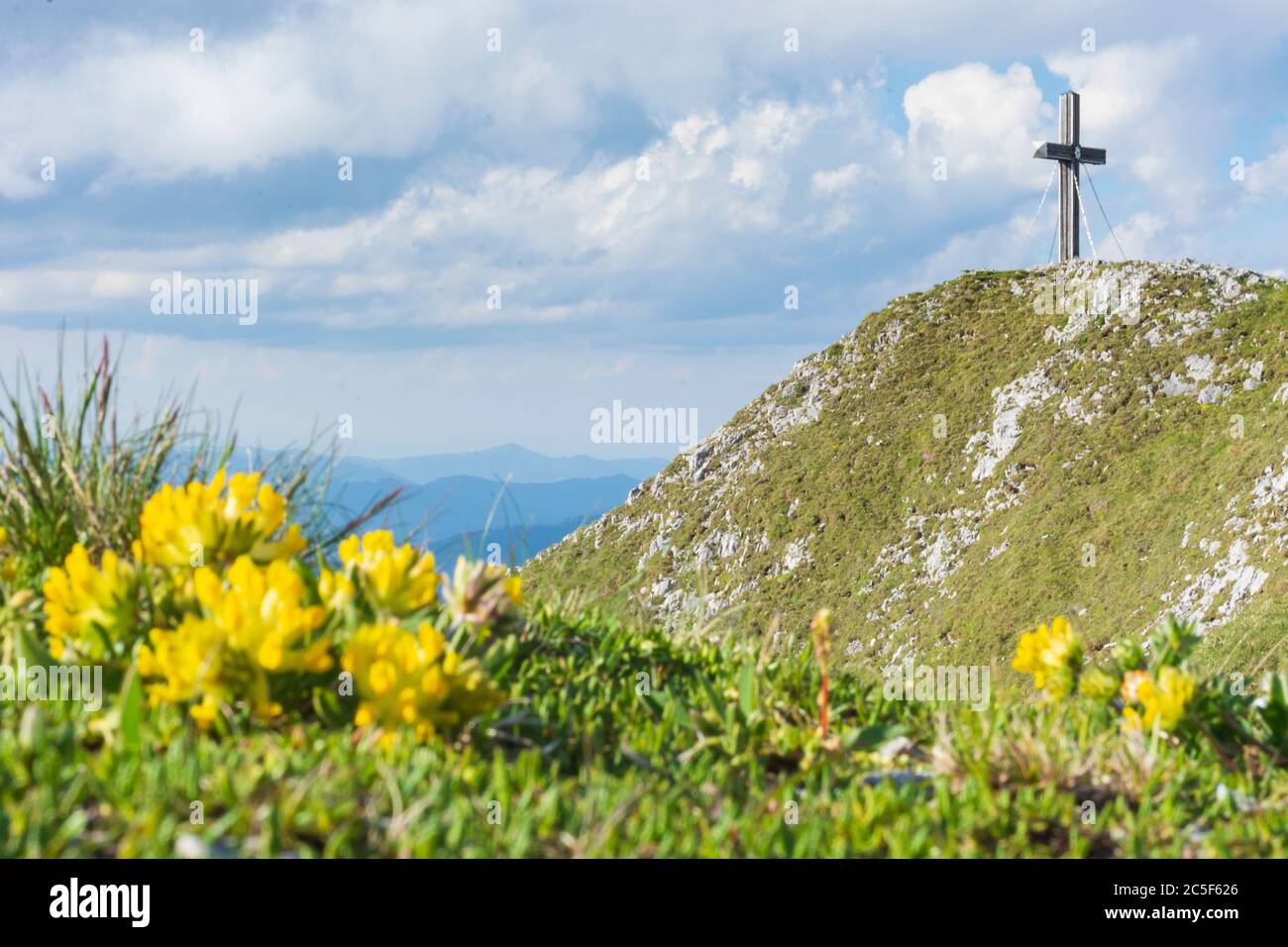 Sankt Barbara im Mürztal: Berg hohe Veitsch (Veitschalpe), Gipfelkreuz, Blumen in Hochsteiermark, Steiermark, Österreich Stockfoto