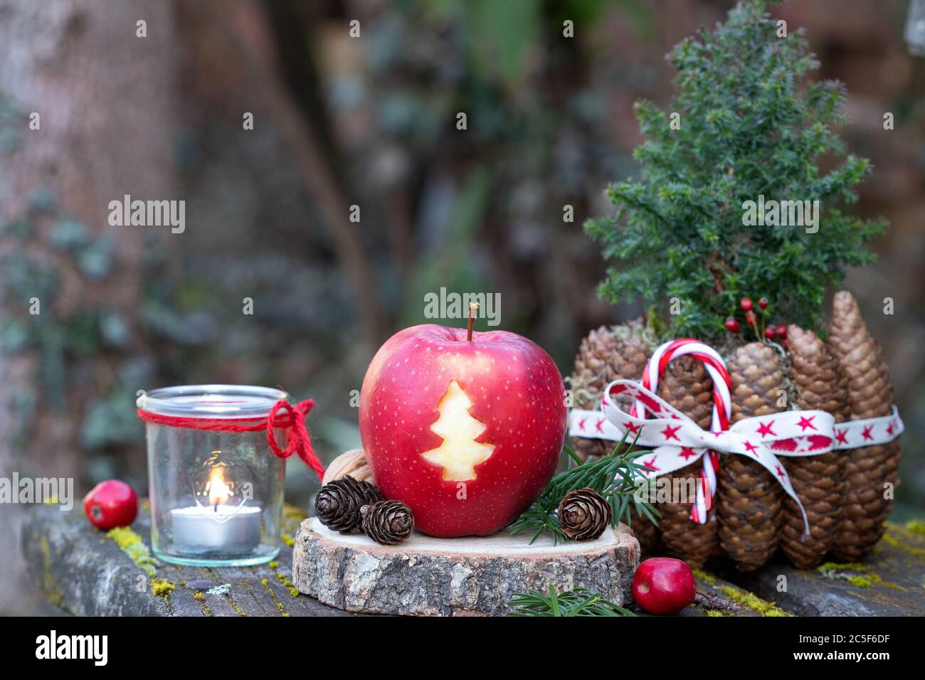 apfel mit weihnachtsbaum Ornament und Zapfen Topf als weihnachtsdekoration Stockfoto