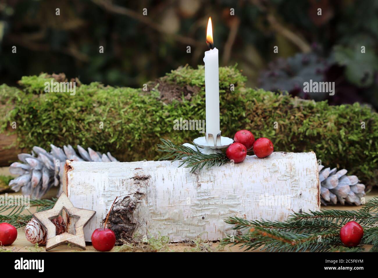 Rustikale weihnachtsdekoration mit weißer Kerze auf dem Birkenholz Stockfoto