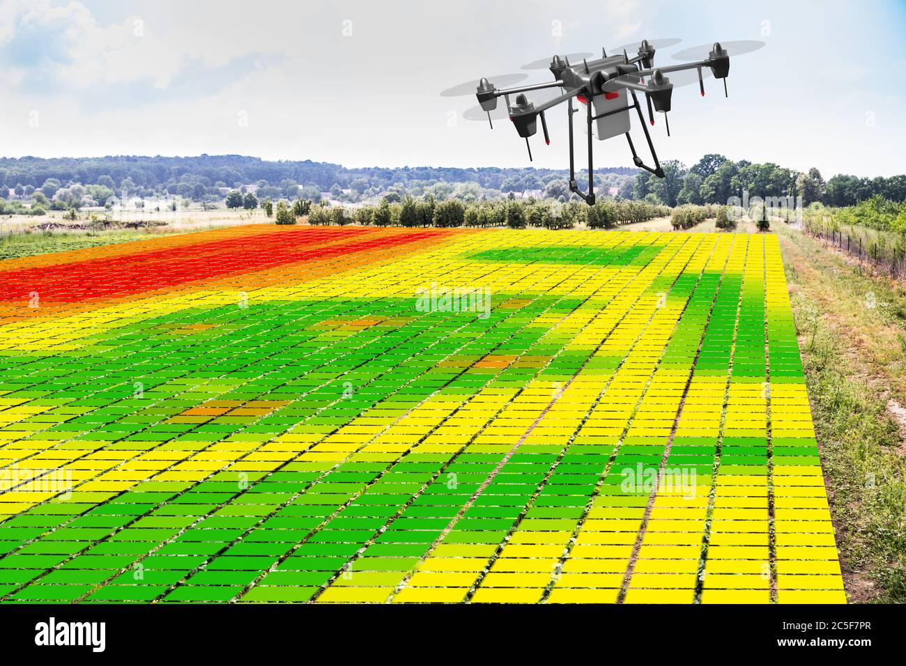 Landwirtschaft Landwirtschafts-Technologie Und Digitale Pflanzenüberwachung Stockfoto