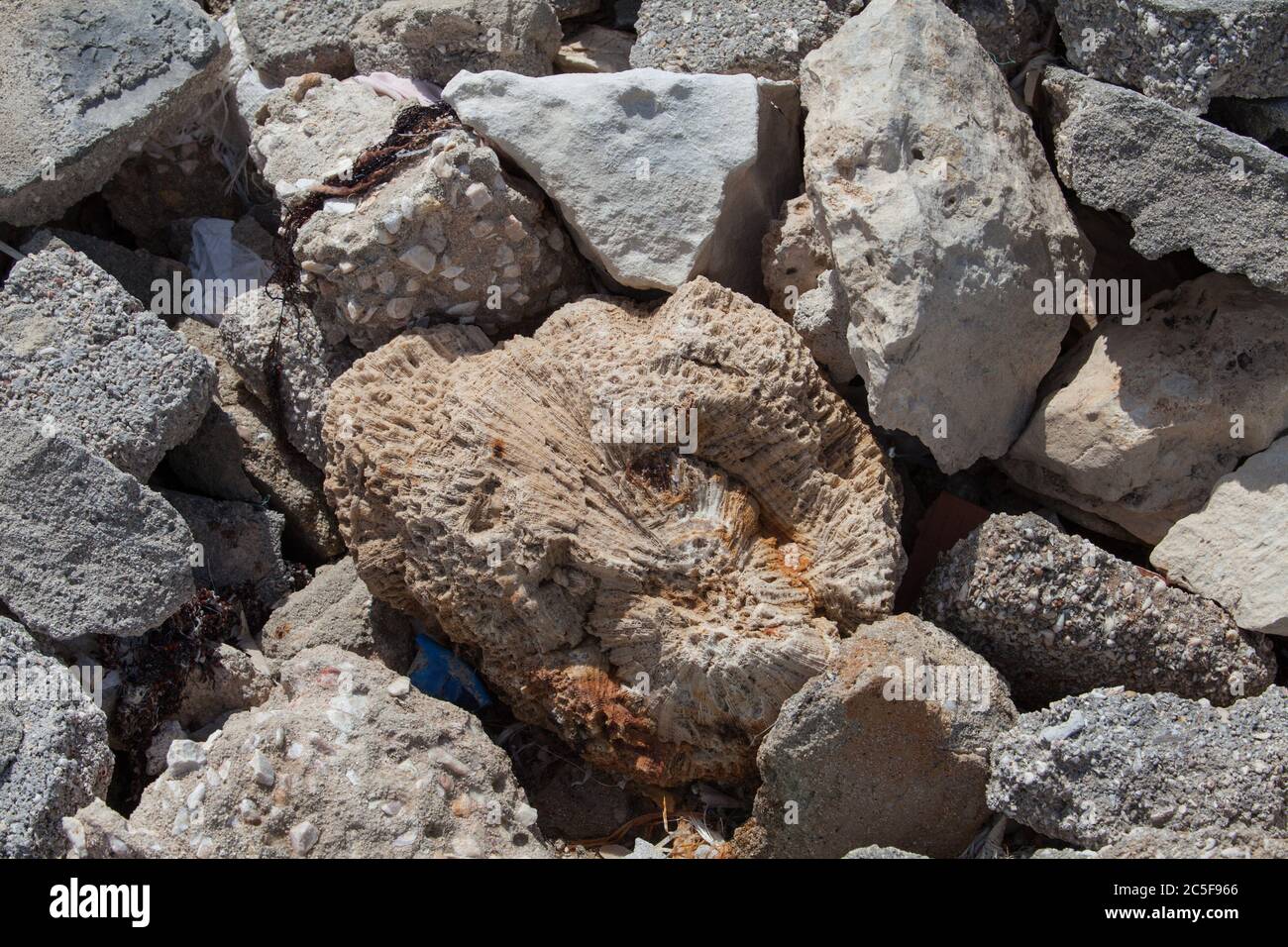 Al Ruwais, Al Shamal, Strand und Fischerdorf im Norden von Katar. Korallenfossil zwischen Felsen und zerbrochenen Ziegelsteinen. Stockfoto