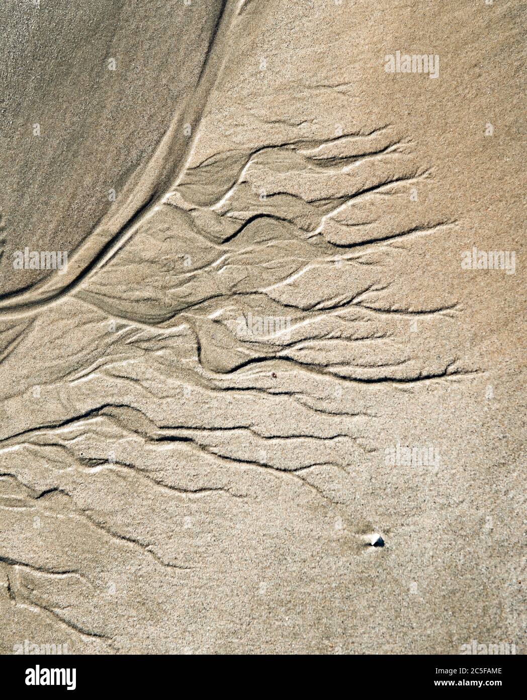 Schlängelnde Muster von Abwassern im Sand, Strand, Porpoise Bay, Catlins, Southland, South Island, Neuseeland Stockfoto