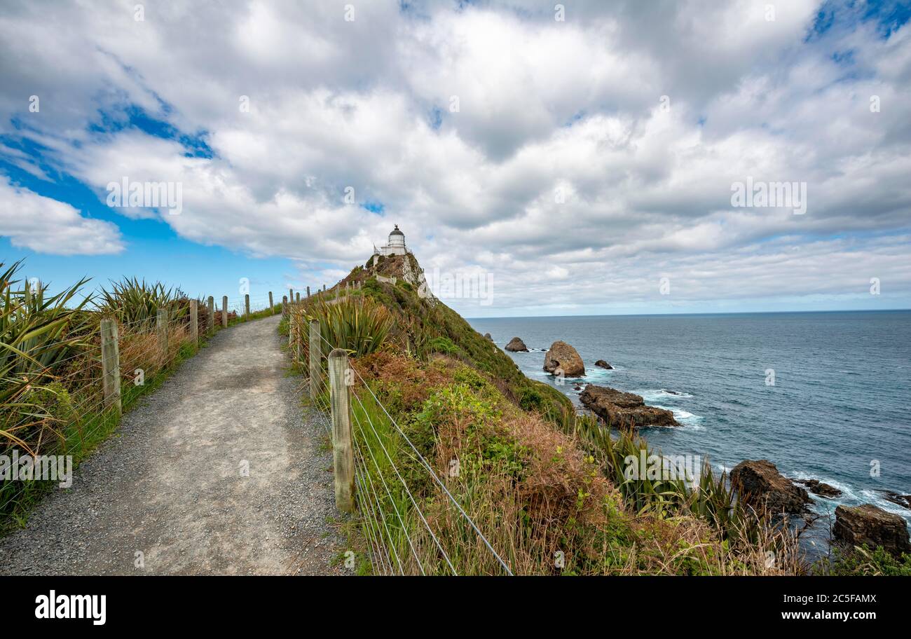 Weg zum Leuchtturm am Nugget Point, Catlins, Südinsel, Neuseeland Stockfoto