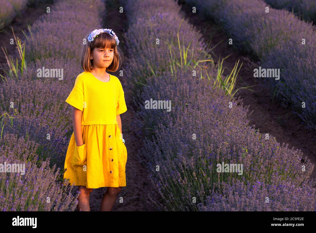 Nettes Mädchen in gelbem Kleid in Lavendel Feld Stockfoto