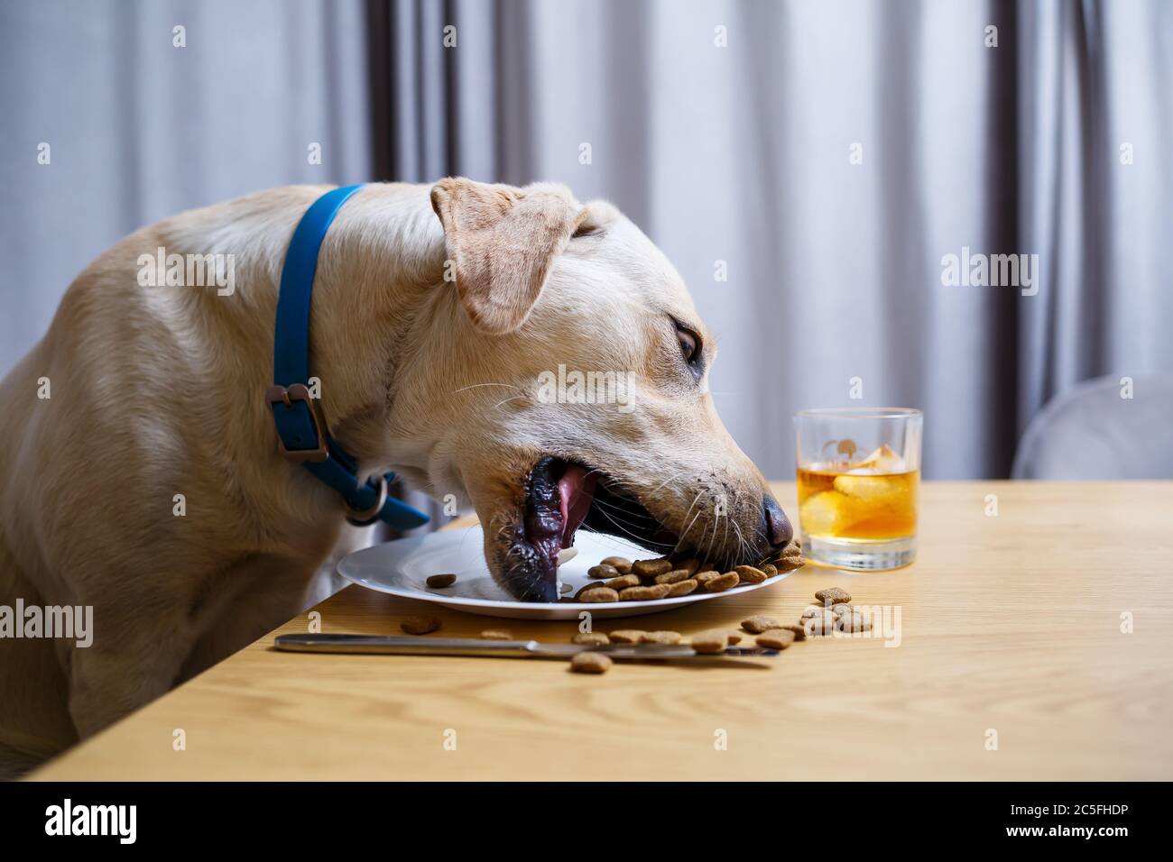 aufbewahrung stofftiere Kinderregal mit Bcherregal, Spielzeug- & Kuscheltier Aufbewahrung   Yorbay.de