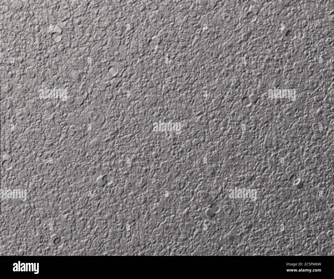 Grau Stuck strukturierte Hintergrund Grafik, leere Bereich mit Platz für Ihren Text Stockfoto