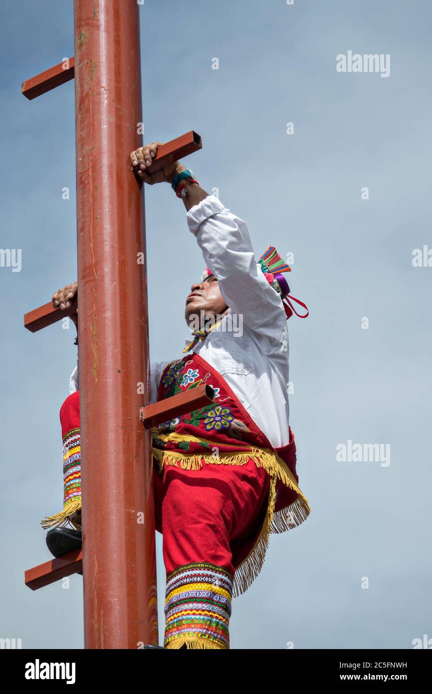 Die berühmten Voladores de Papantla, die Papantla Flyers, klettern den Pol hinauf, um ihre alte mesoamerikanische Zeremonie im Jardin Allende während der einwöchigen Fiesta des Schutzheiligen michael in San Miguel de Allende, Mexiko, durchzuführen. Stockfoto