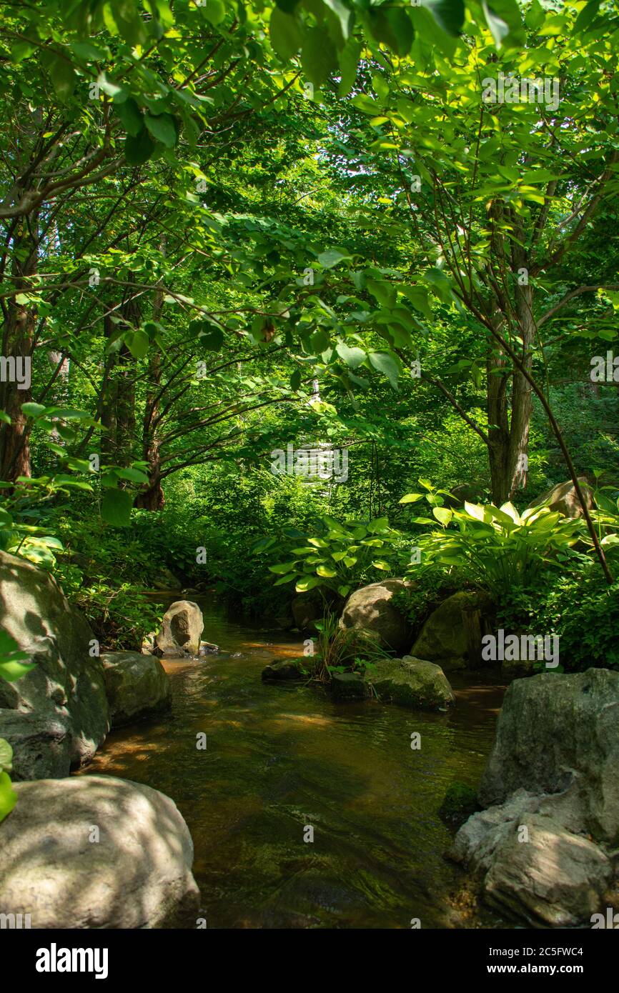 Kleiner Bach, der durch die Landschaft des Japanischen Gartens fließt. Stockfoto