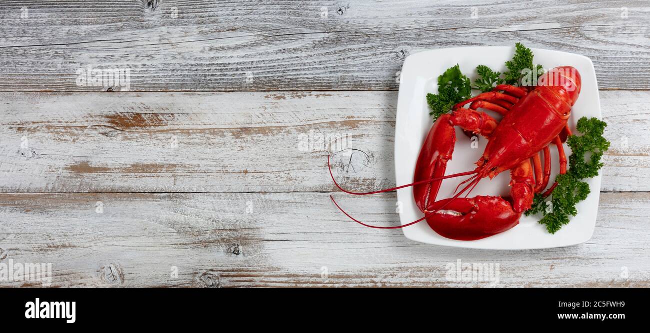 Ganzer roter Hummer mit frischer Petersilie auf dem Servierteller. Overhead-Ansicht mit reichlich Kopieplatz mit weißen rustikalen Holzhintergrund Stockfoto