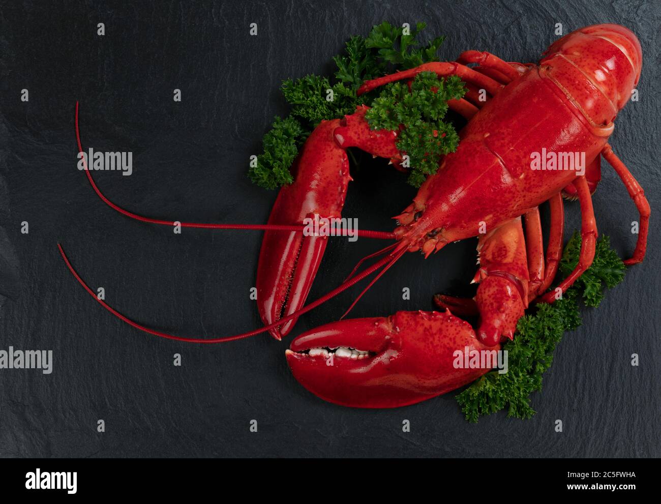Ganzer roter Hummer mit frischer Petersilie auf natürlichem Schieferstein Stockfoto