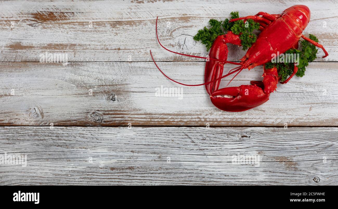 Ganze rote Hummer mit frischer Petersilie auf weißem rustikalem Holzhintergrund Stockfoto