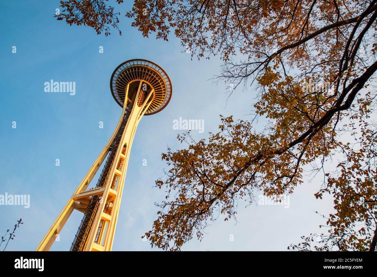 Seattle Space Needle durch Herbst Blatt gesehen Stockfoto