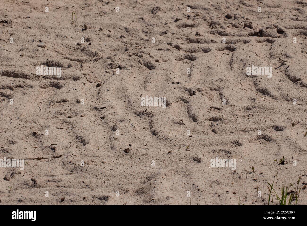 Traktorreifen Spuren im Sand Stockfoto