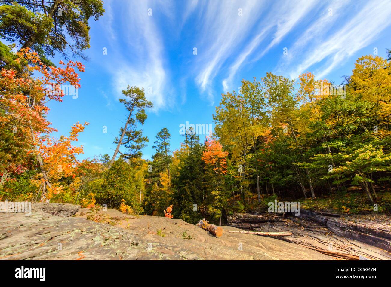 Herbstwaldlandschaft im Porcupine Mountains Wilderness State Park auf der Upper Peninsula of Michigan während der Herbstfärbung. Stockfoto