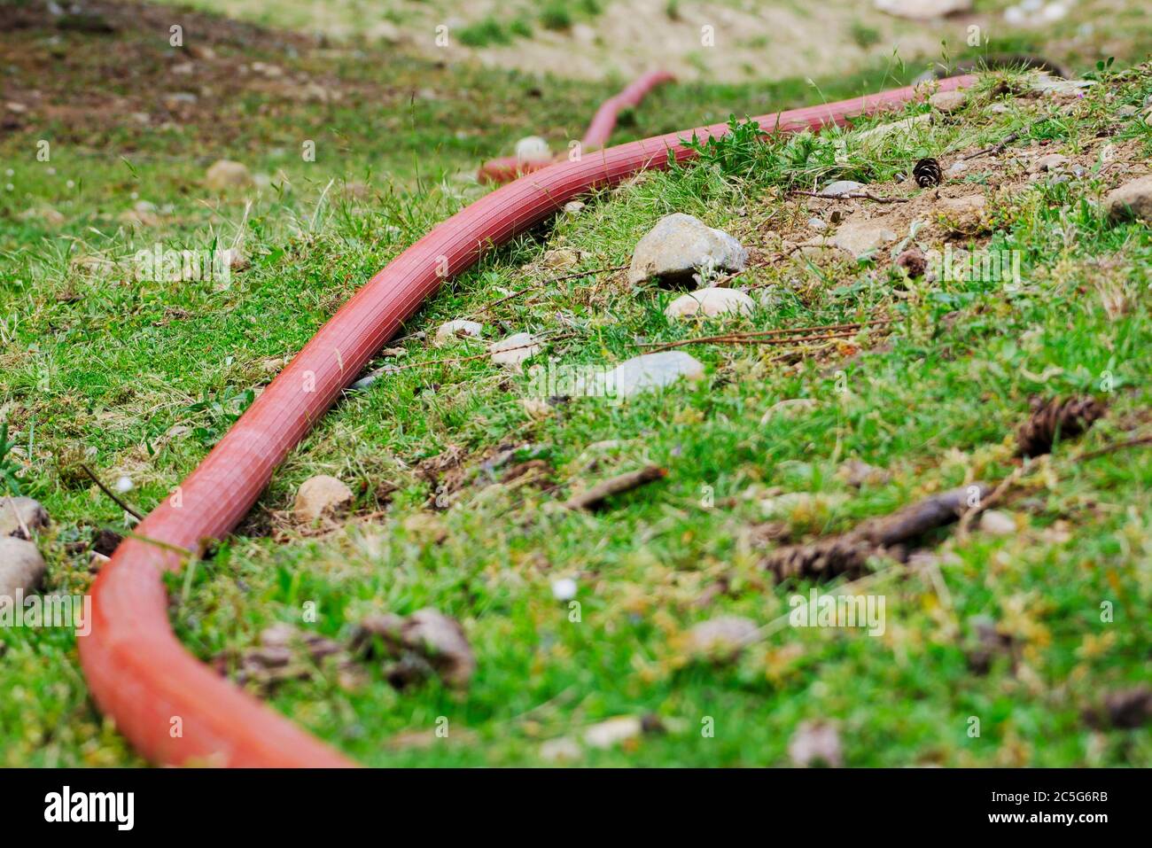 Roter Feuerschlauch auf grünem Gras mit Steinen und Pinienzapfen ausgelegt Stockfoto