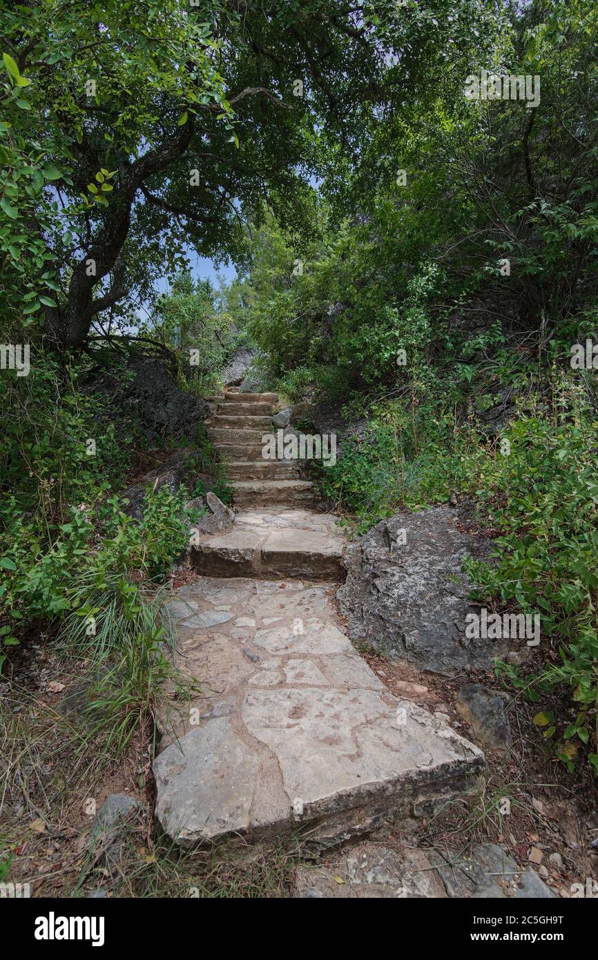 Eine Treppe aus Steintreppen führt einen Pfad hinauf in einen dichten, grünen Wald, der von Sonnenlicht mit einem geheimnisvollen Gefühl der verlorenen Welt hervorgehoben wird. Stockfoto