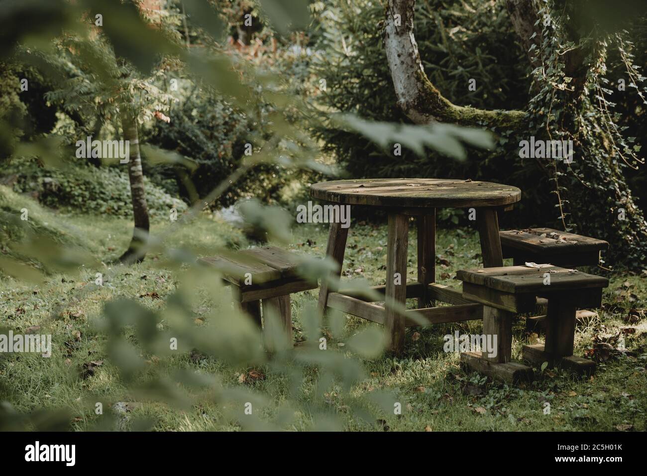 Alte Holzmöbel im grünen ruhigen Garten mit der Zen-Atmosphäre während des Sommermorgens Stockfoto