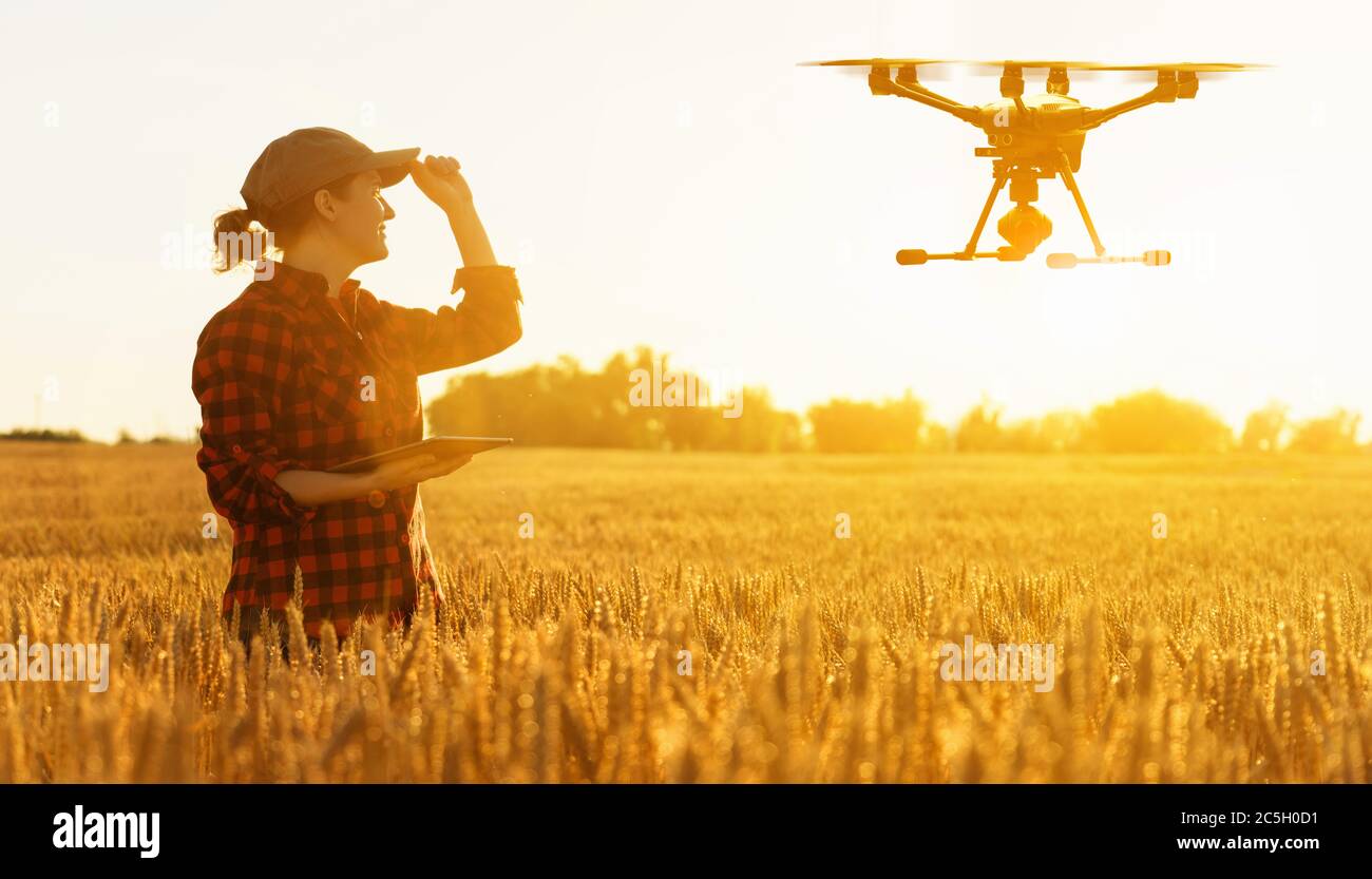 Frau Farmer steuert Drohne mit einem Tablet. Intelligente Landwirtschaft und Präzisionslandwirtschaft Stockfoto