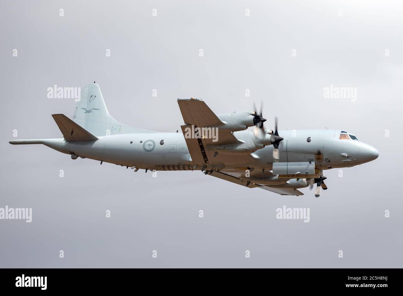 Royal Australian Air Force (RAAF) Lockheed AP-3C Orion Maritime Patrol und Anti-Submarine Warfare Flugzeuge von RAAF Base Edinburgh. Stockfoto