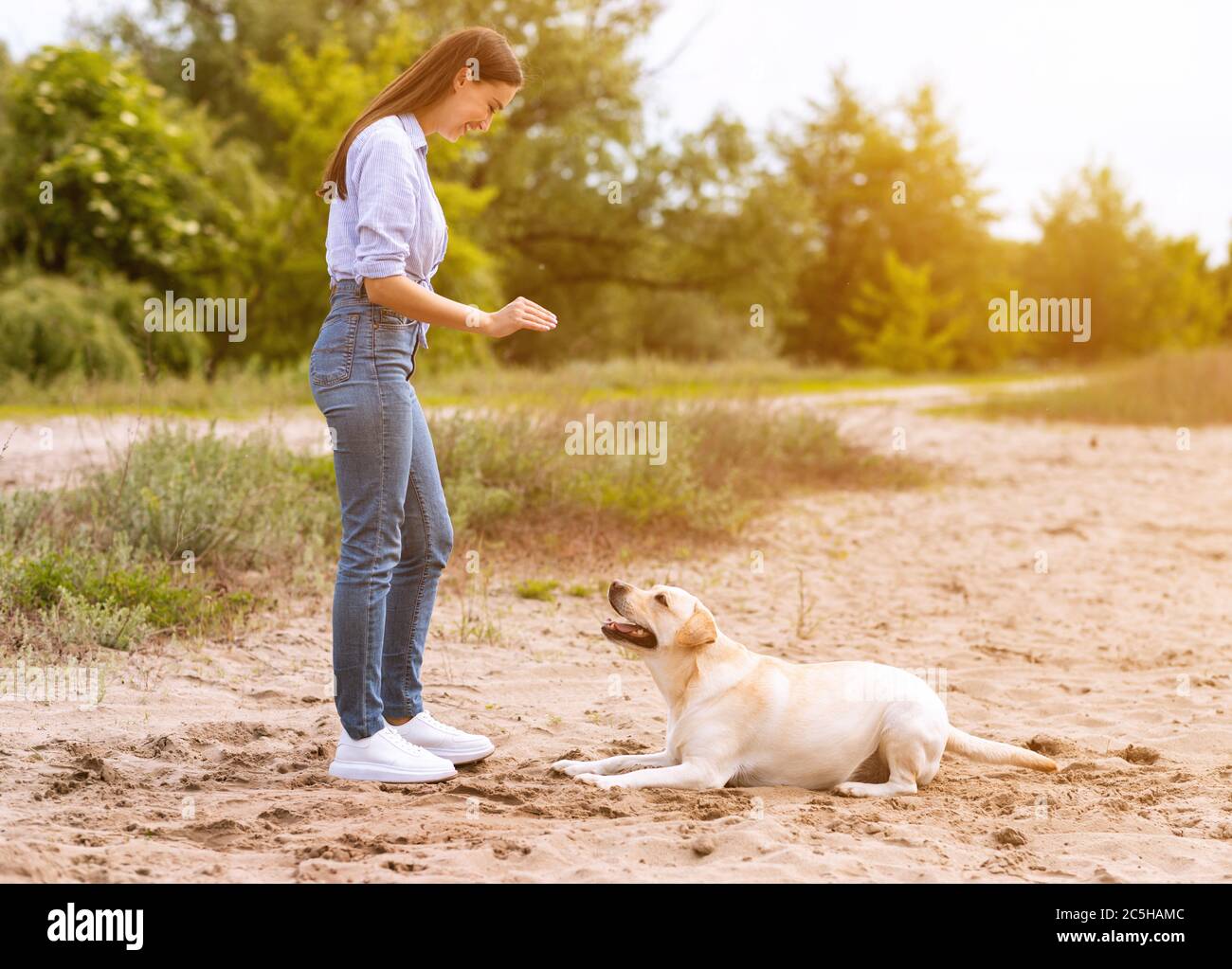 Frau, die ihrem gehorsamen labrador einen Befehl gibt Stockfoto