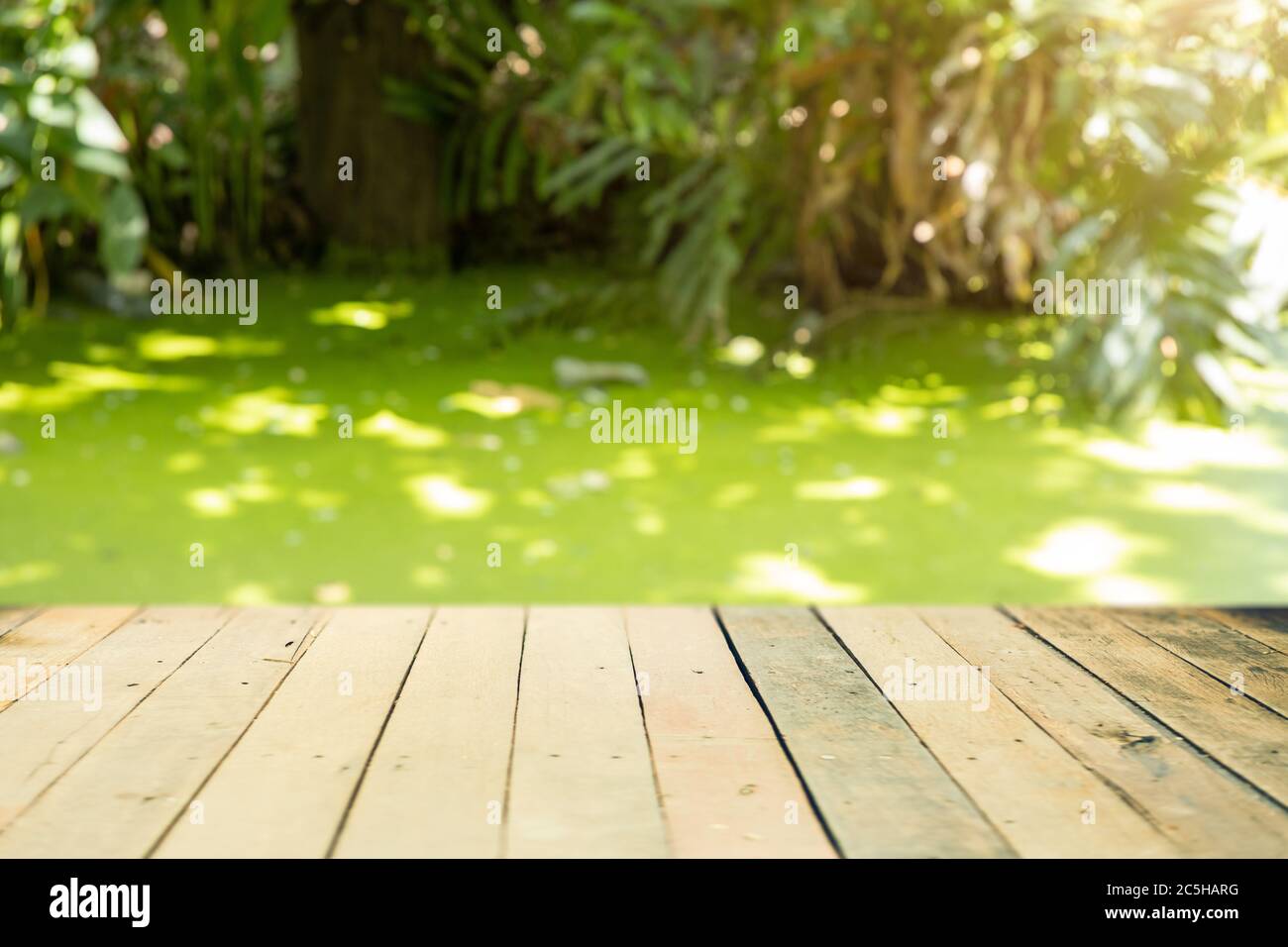 Grüne Natur Sumpf verschwimmen mit Holz Waterfront für Produkt-Werbung Montage Hintergrund Stockfoto