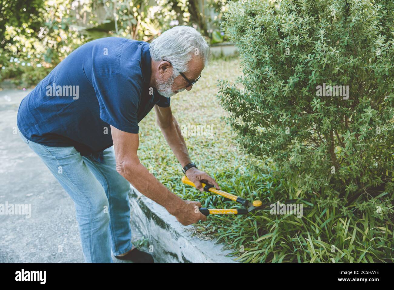 Gesunder Holder verbogen zurück zu Hause arbeiten Beschneiden Pflanzen schneiden den Busch Reinigung im Hinterhof. Stockfoto