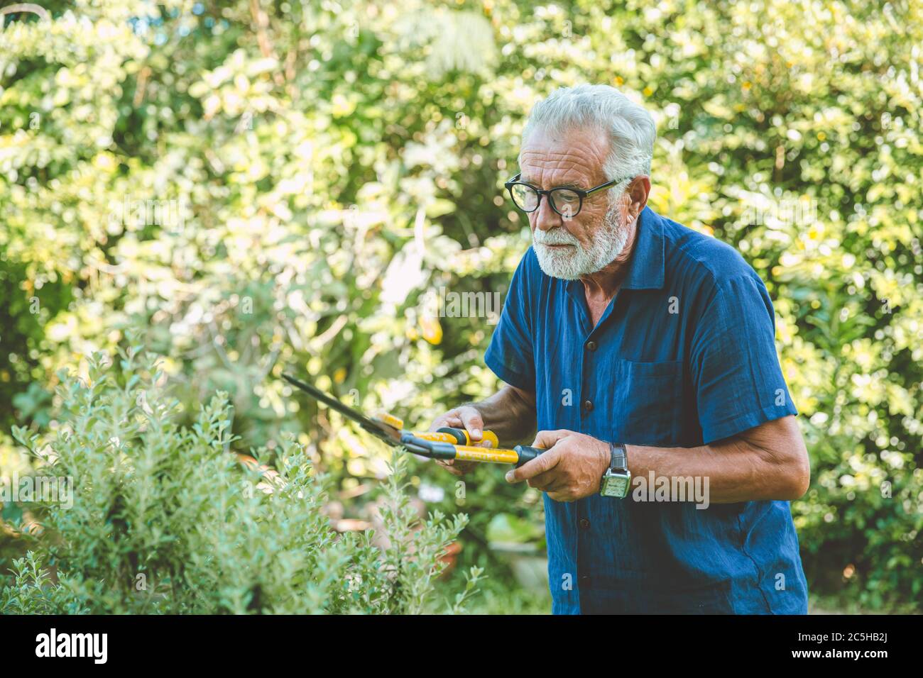 Ältere ältere Menschen arbeiten während des Aufenthalts zu Hause Urlaub Aktivität Beschneiden von Pflanzen im Hinterhof. Stockfoto