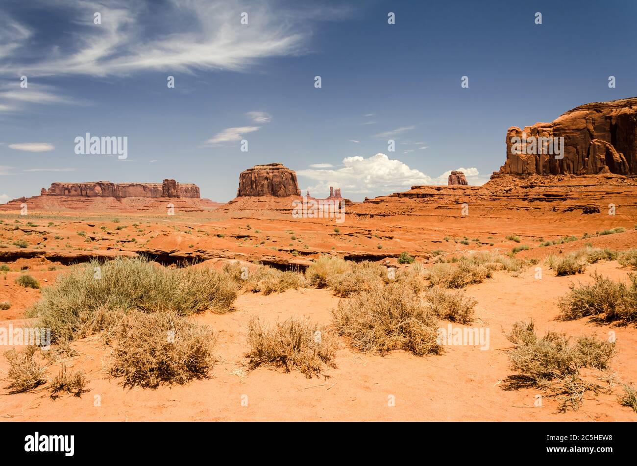 Schöne rote Wüstenlandschaft mit Büschen und Mesas Stockfoto