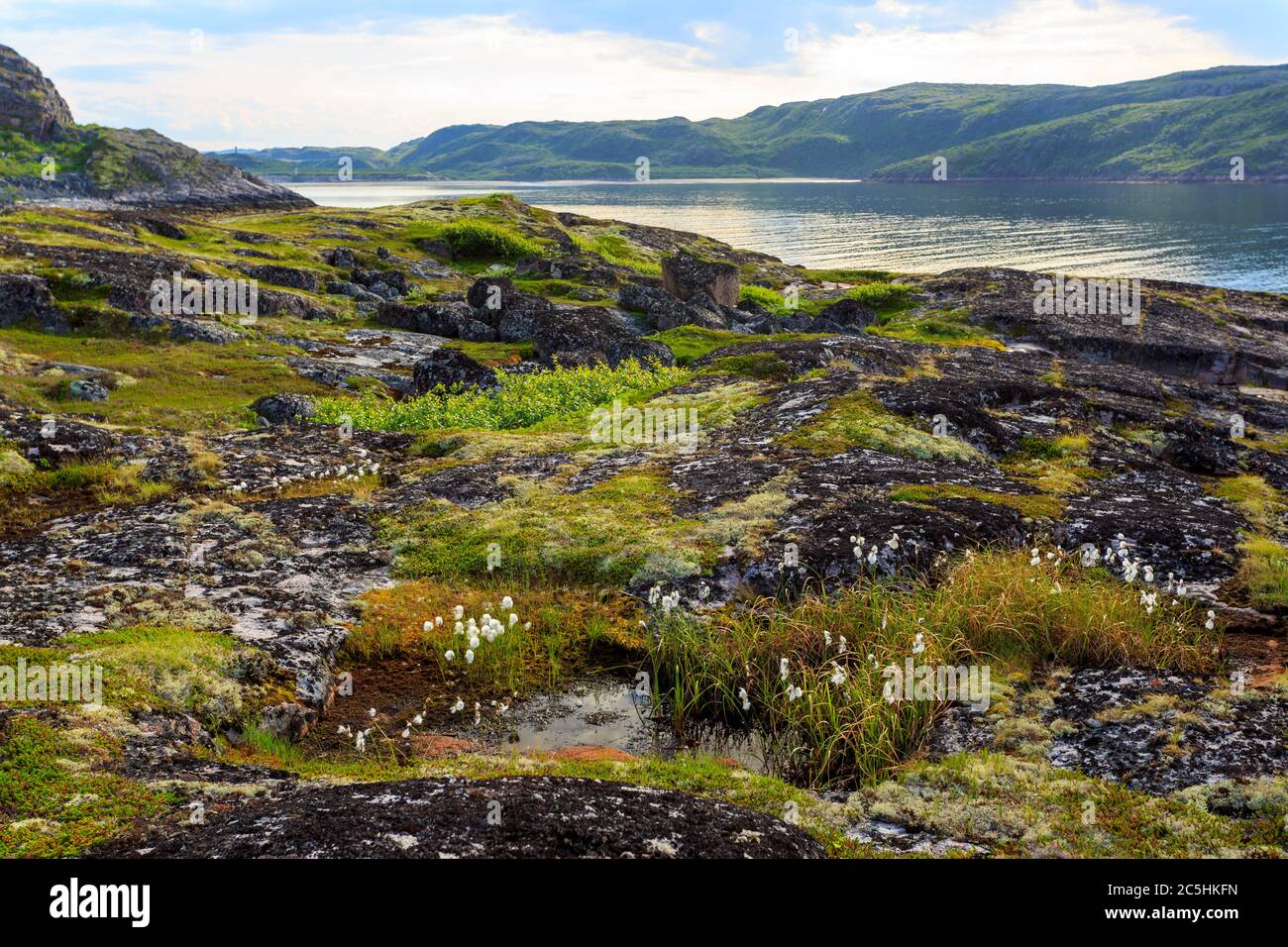 Küste der Barentssee im Norden polar Sommer. Arktischen Ozean, Halbinsel Kola, Russland Stockfoto
