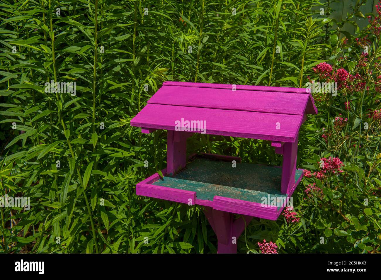 Pink Bird Tisch Im Garten Stockfoto