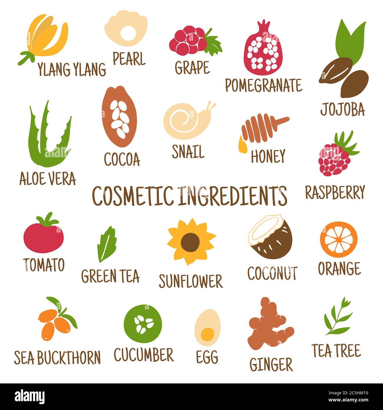 Kosmetische Inhaltsstoffe. Handgezeichnete Ikonen von Kräutern, Obst, Gemüse, Blumen, Ölen. Sammlung von Vektorsymbolen. Stock Vektor