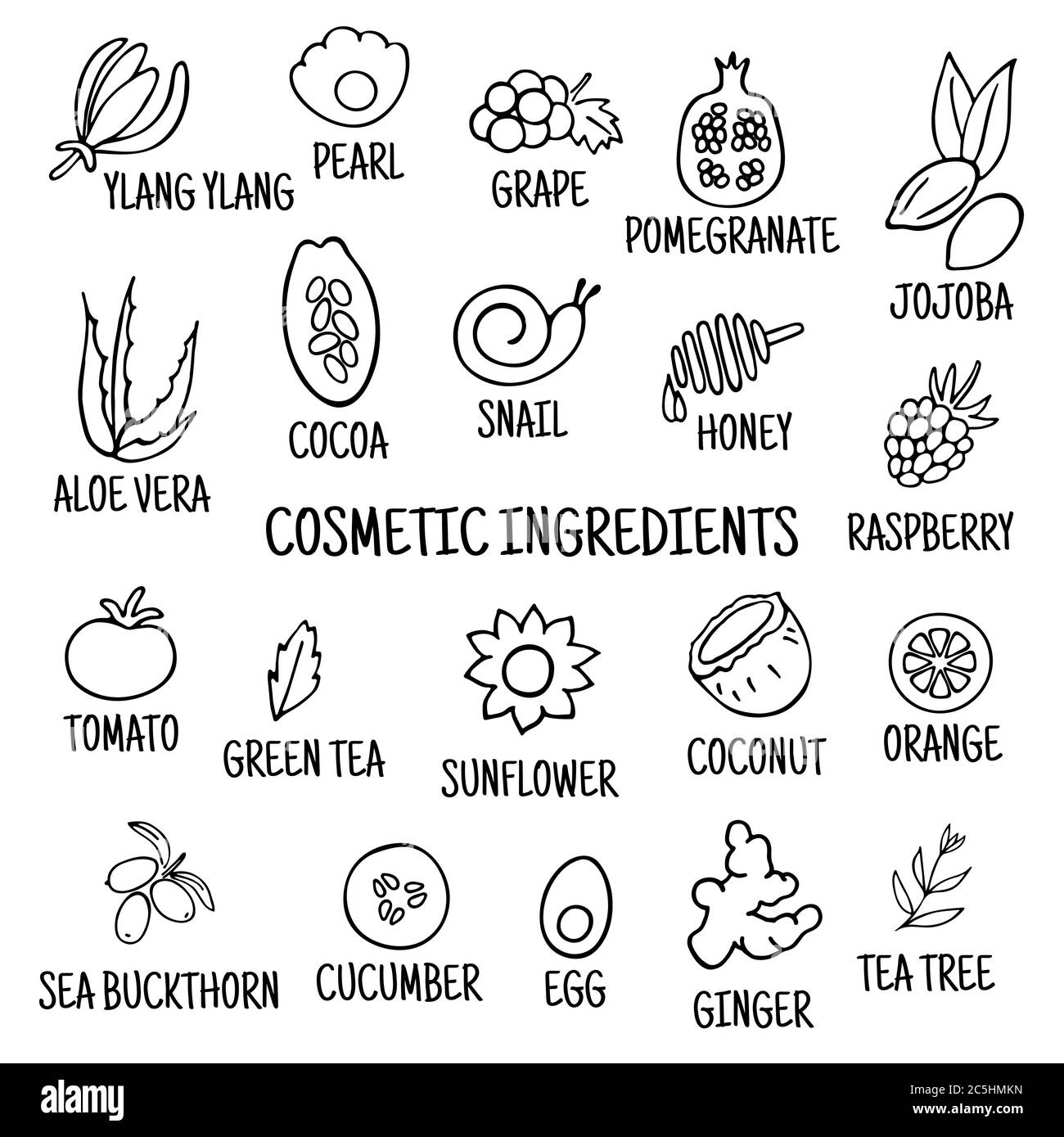 Kosmetische Inhaltsstoffe. Handgezeichnete Ikonen von Kräutern, Obst, Gemüse, Blumen, Ölen. Sammlung von Vektorsymbolen. Stock Vektor