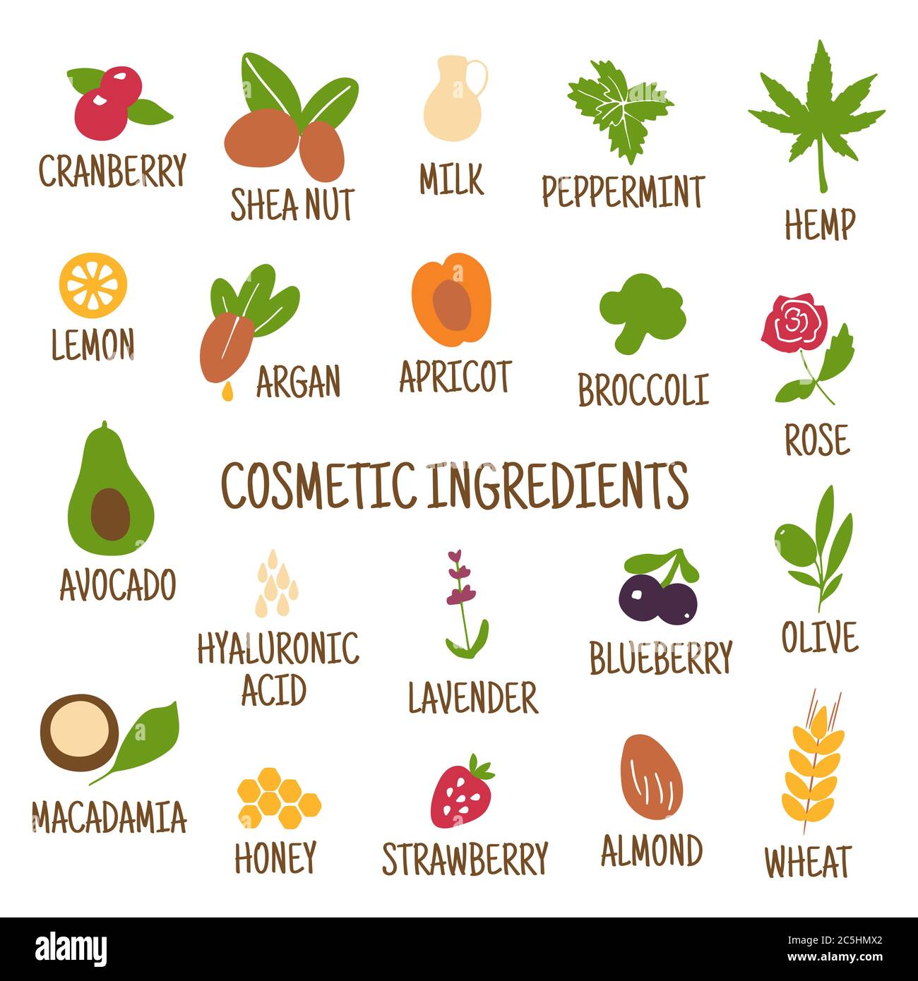 Kosmetische Inhaltsstoffe. Handgezeichnete Ikonen von Kräutern, Obst, Gemüse, Blumen, Ölen. Sammlung von Vektorsymbolen. Stock Vektor