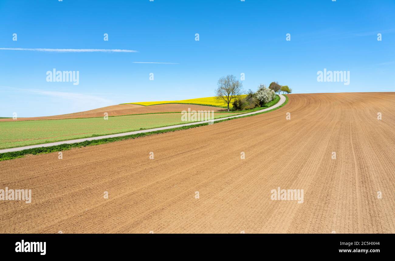 Bebautes Land im Frühjahr mit neu bepflanzte Felder Stockfoto
