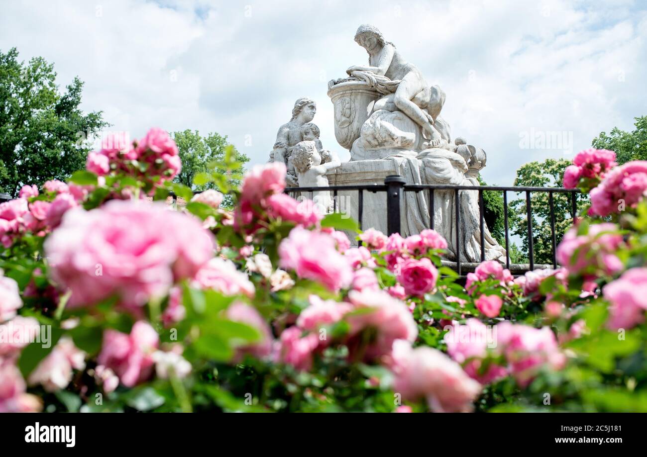 03. Juli 2020, Niedersachsen, Celle: Rosen blühen vor dem Denkmal für Königin Caroline Mathilde im Französischen Garten. Foto: Hauke-Christian Dittrich/dpa Stockfoto