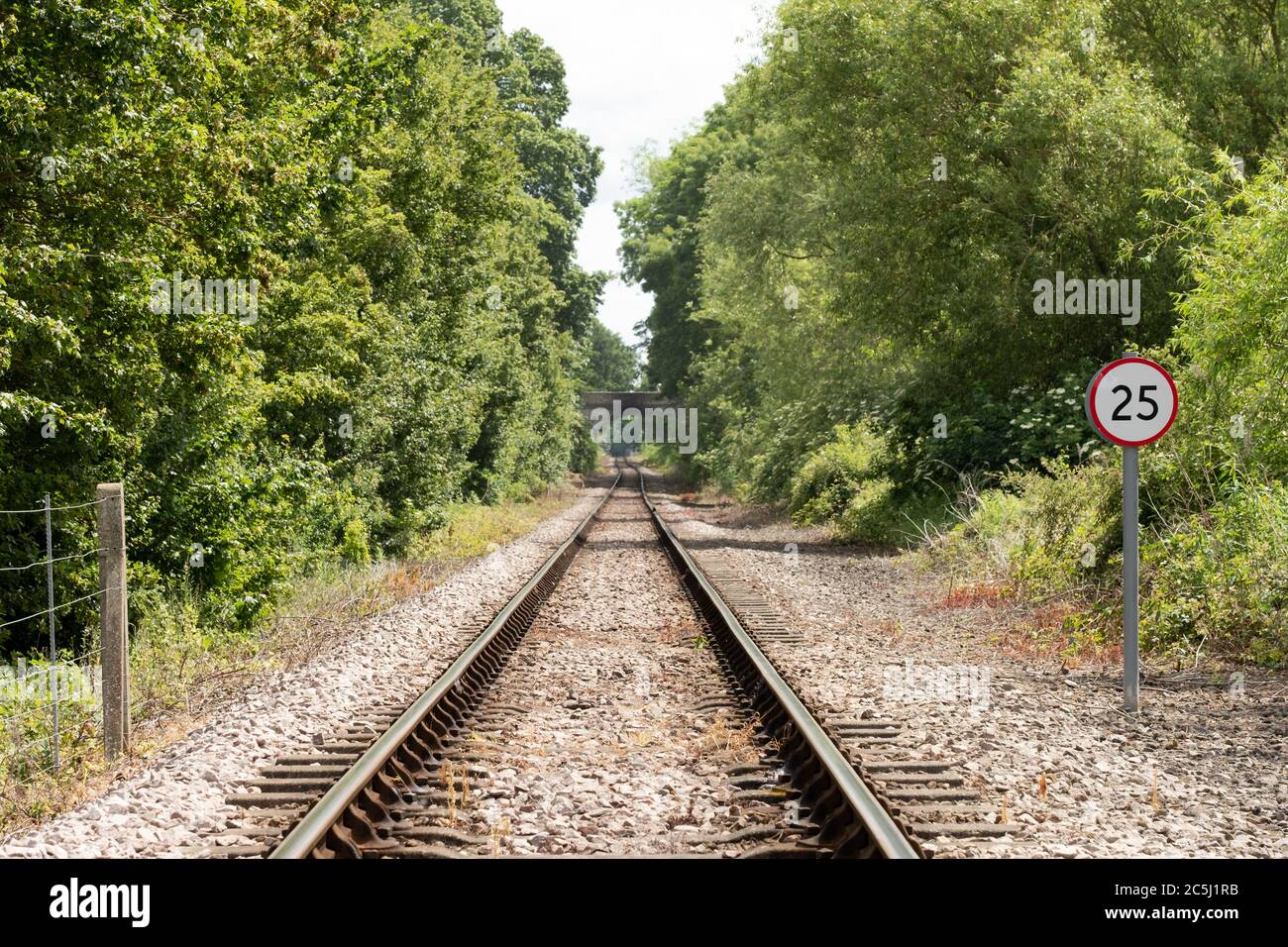 Flacher Fokus der in der Nähe Unkraut wächst zwischen den Eisenbahn Schläfer auf einer leeren, aber gebrauchten Bahnstrecke gesehen. Rechts ist eine Geschwindigkeitsbegrenzung von 25 km/h zu sehen. Stockfoto