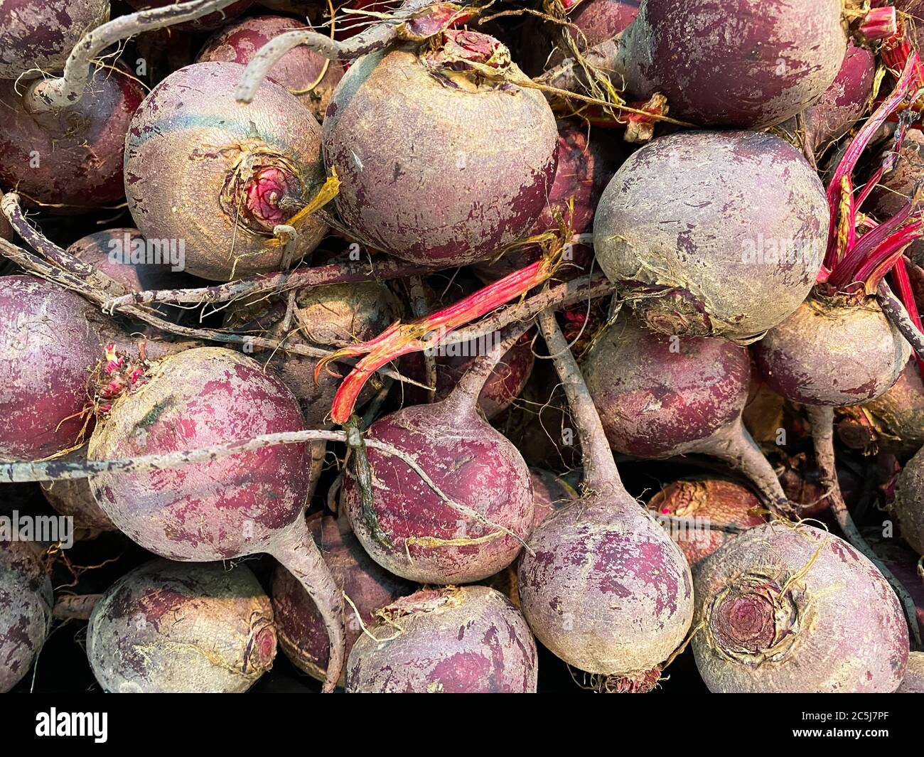 Nahaufnahme von isolierten Haufen frische Ernte Rote Beete auf dem Bauernmarkt - Deutschland Stockfoto