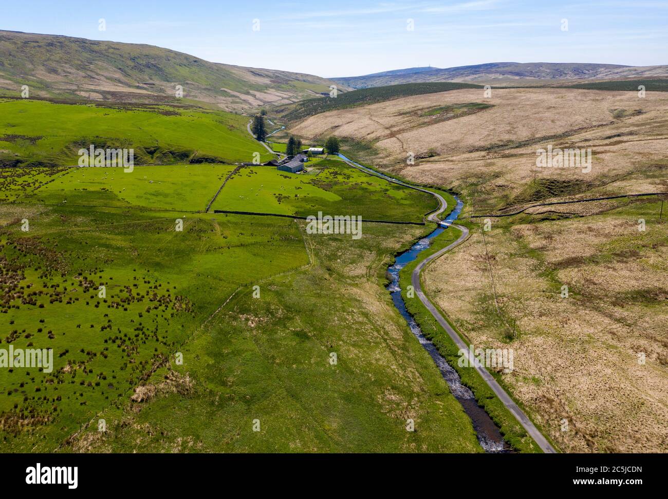 Tarras Valley, Teil der Langholm Moor Community Buyout, um Land von Buccleuch Estates zu kaufen, um das Tarras Valley Nature Reserve zu schaffen. Stockfoto